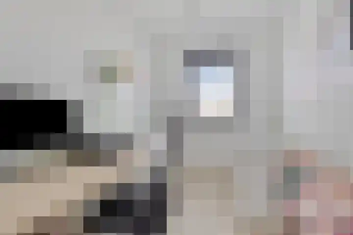 Zuideind 9 Made thumbnail 17