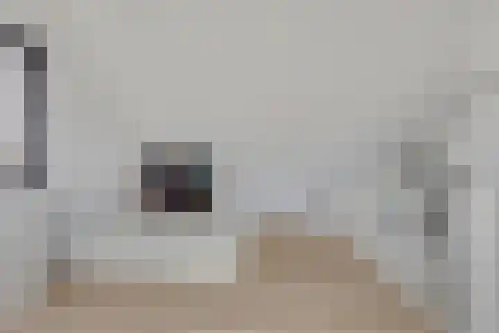 Zuideind 9 Made thumbnail 22