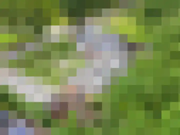 Zuideinde 1 in Exloo