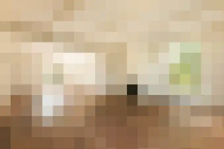 Zuideinde 152 Westzaan thumbnail 10