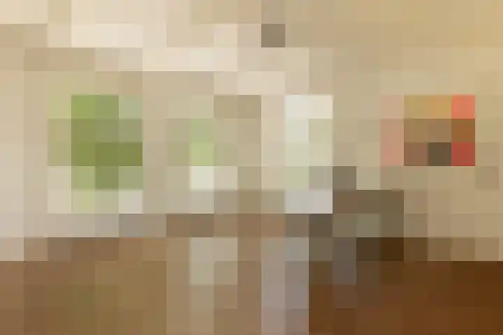 Zuideinde 152 Westzaan thumbnail 15