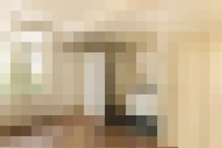 Zuideinde 152 Westzaan thumbnail 25