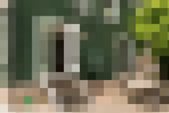 Zuideinde 152 Westzaan thumbnail 44