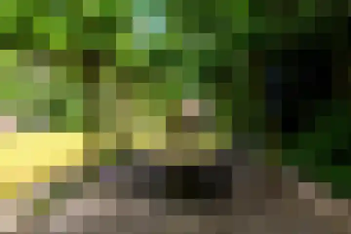 Zuideinde 152 Westzaan thumbnail 47