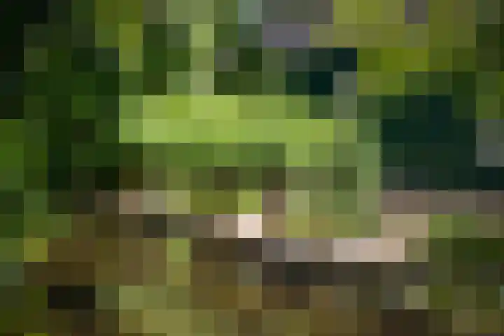Zuideinde 152 Westzaan thumbnail 48