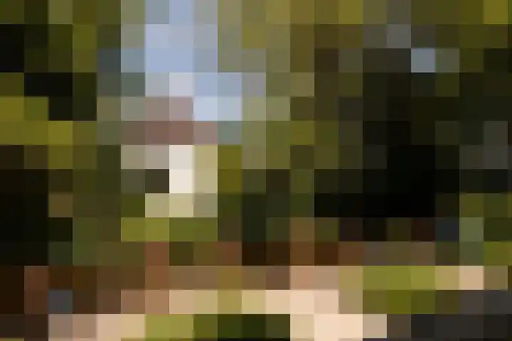 Zuideinde 152 Westzaan thumbnail 50
