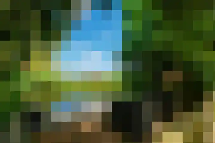 Zuideinde 152 Westzaan thumbnail 51