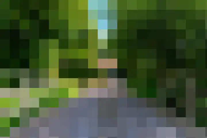 Zuideinde 152 Westzaan thumbnail 53