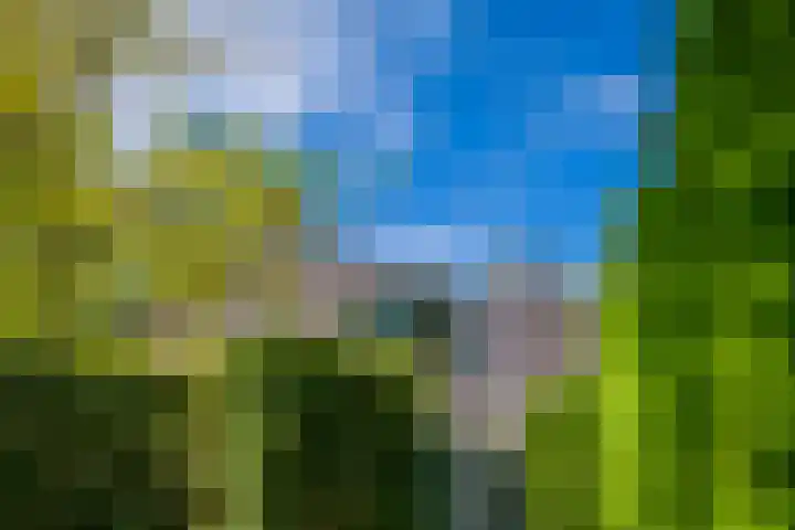 Zuideinde 152 Westzaan thumbnail 57