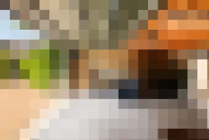 Zuideinde 152 Westzaan thumbnail 60