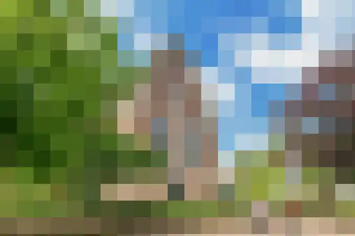 Zuideinde 152 Westzaan thumbnail 62