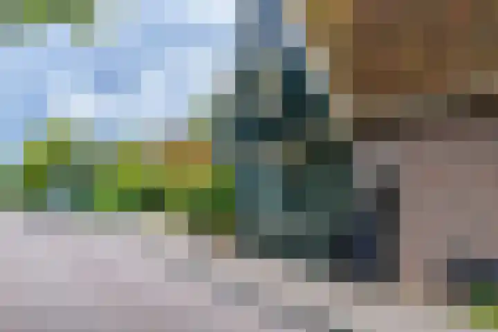 Zuideinde 152 Westzaan thumbnail 64