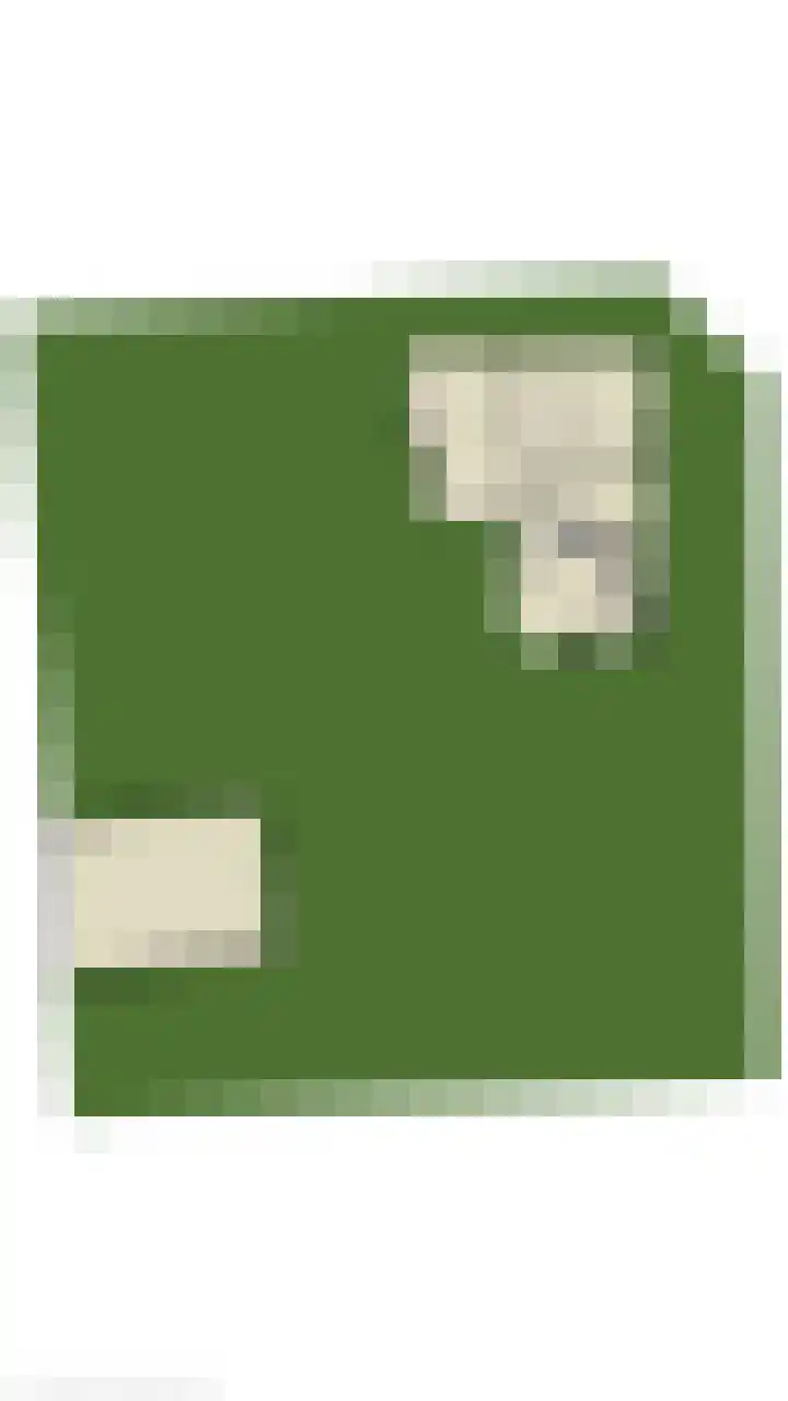 Zuideinde 152 Westzaan thumbnail 68