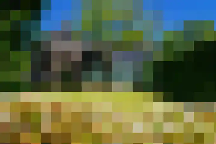 Zuideinde 152 Westzaan thumbnail 69