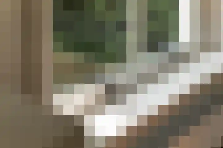 Zuideinde 152 Westzaan thumbnail 9