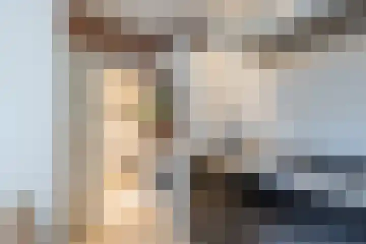 Zuideinde 16 C Wormerveer thumbnail 14