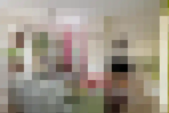 Zuideinde 160 Oostzaan thumbnail 12