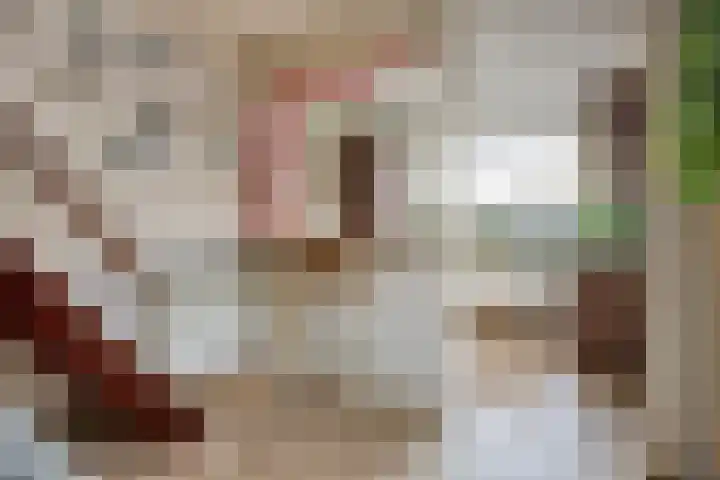 Zuideinde 160 Oostzaan thumbnail 13