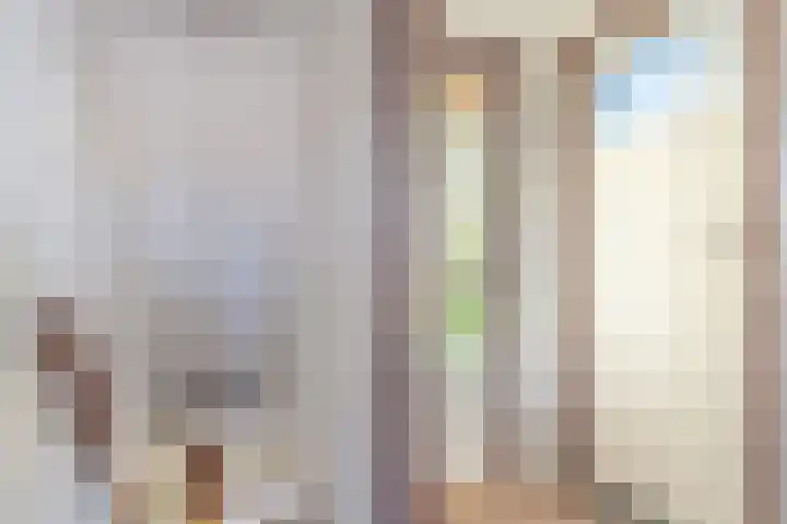 Zuideinde 160 Oostzaan thumbnail 28