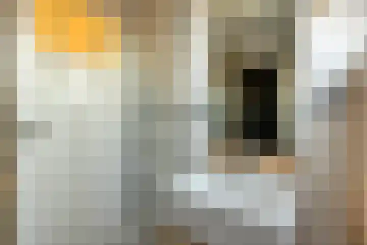 Zuideinde 160 Oostzaan thumbnail 34