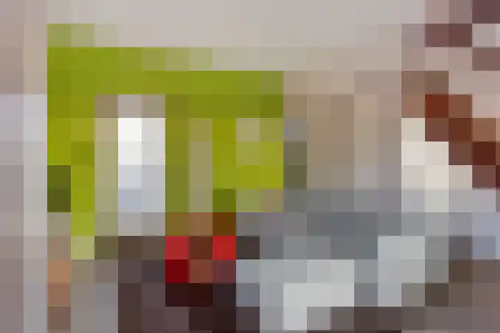 Zuideinde 160 Oostzaan thumbnail 8