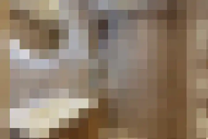 Zuideinde 17 C Wormerveer thumbnail 12