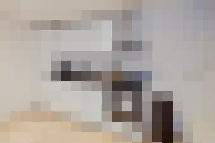Zuideinde 17 C Wormerveer thumbnail 7