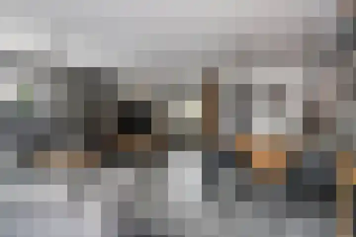 Zuideinde 18 Dinteloord thumbnail 11