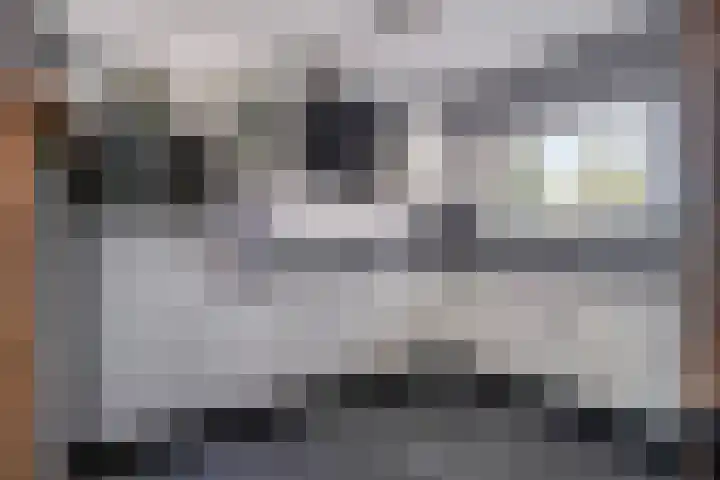 Zuideinde 18 Dinteloord thumbnail 16