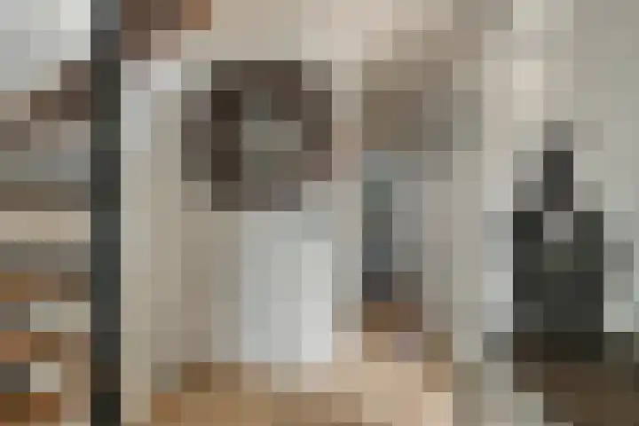 Zuideinde 18 Dinteloord thumbnail 21
