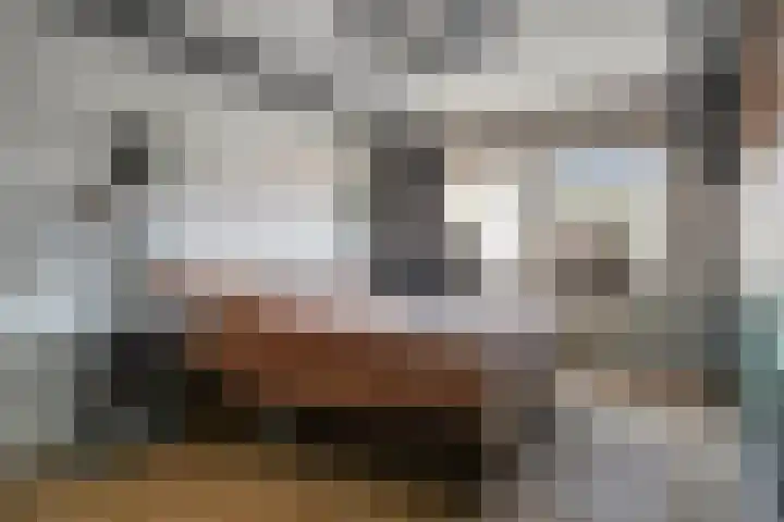 Zuideinde 18 Dinteloord thumbnail 23