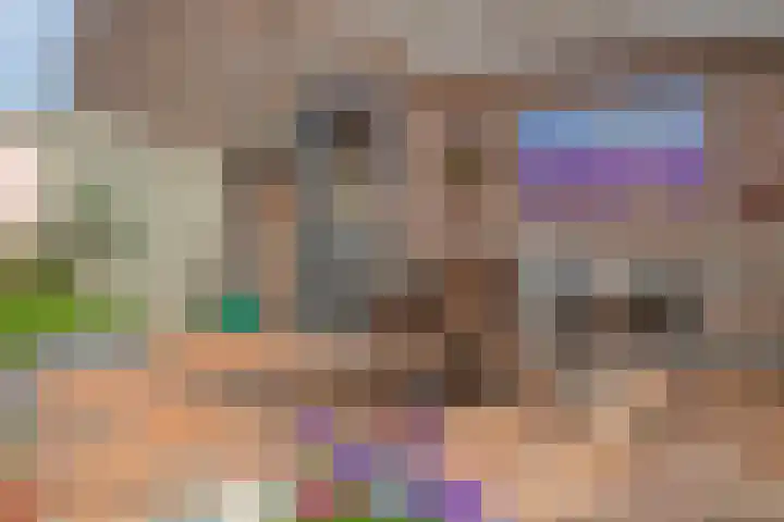 Zuideinde 18 Dinteloord thumbnail 41
