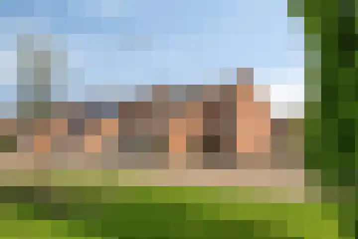 Zuideinde 18 Dinteloord thumbnail 45
