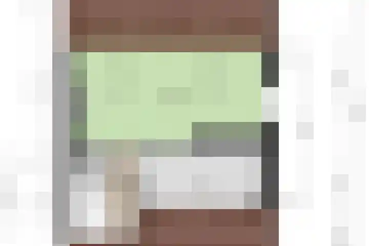 Zuideinde 18 Dinteloord thumbnail 55