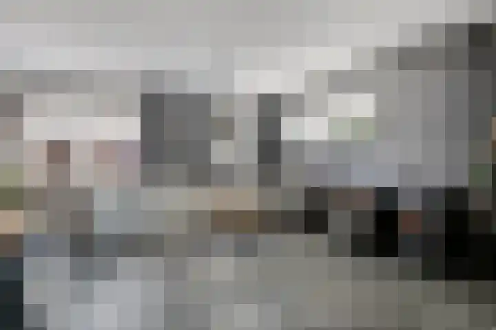 Zuideinde 18 Dinteloord thumbnail 7