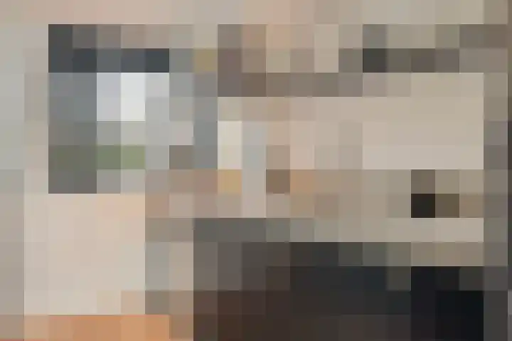 Zuideinde 244 Amsterdam thumbnail 13
