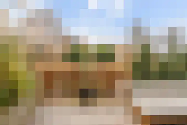 Zuideinde 244 Amsterdam thumbnail 19