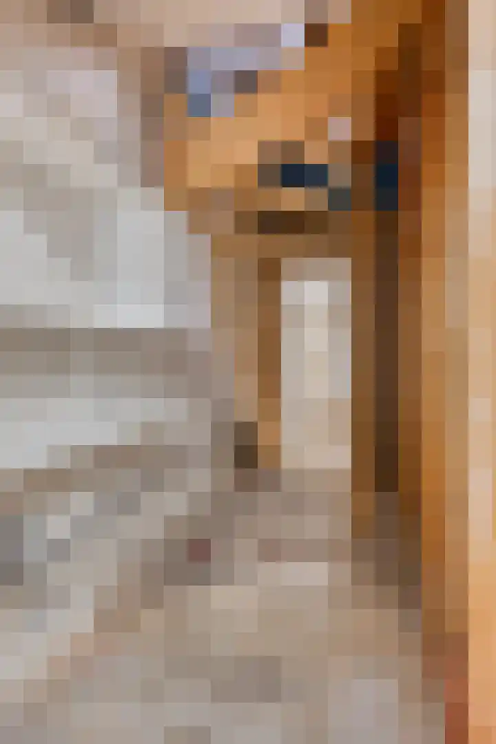 Zuideinde 25 Monnickendam thumbnail 16