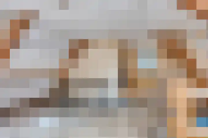 Zuideinde 25 Monnickendam thumbnail 18