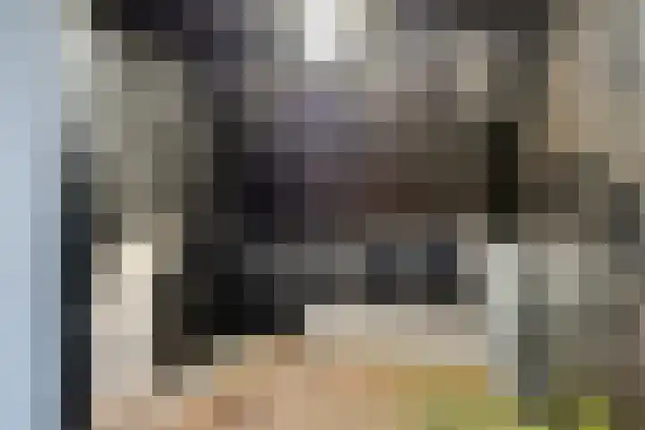 Zuideinde 25 Monnickendam thumbnail 19