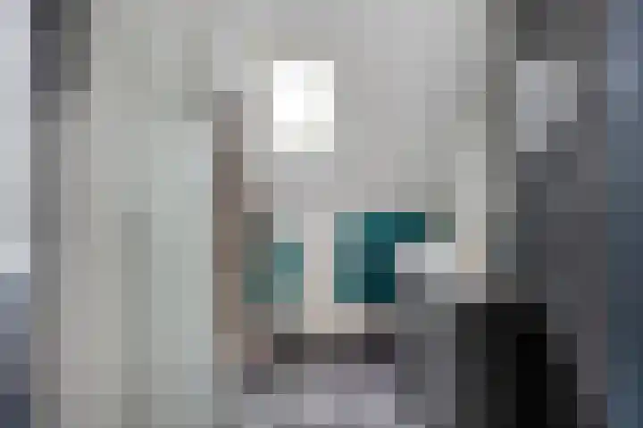 Zuideinde 25 Monnickendam thumbnail 27