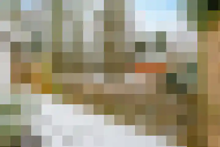 Zuideinde 342 A Amsterdam thumbnail 41