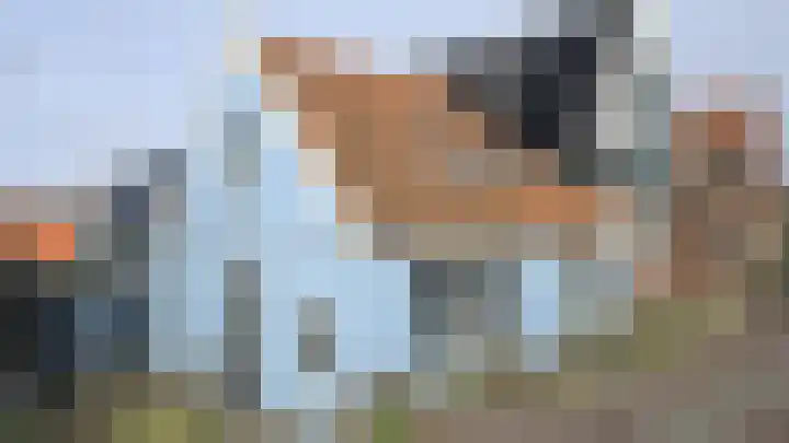 Zuideinde 5 Westzaan