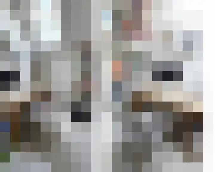 Zuideinde 5 Westzaan thumbnail 11