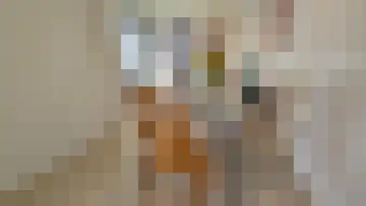 Zuideinde 5 Westzaan thumbnail 13