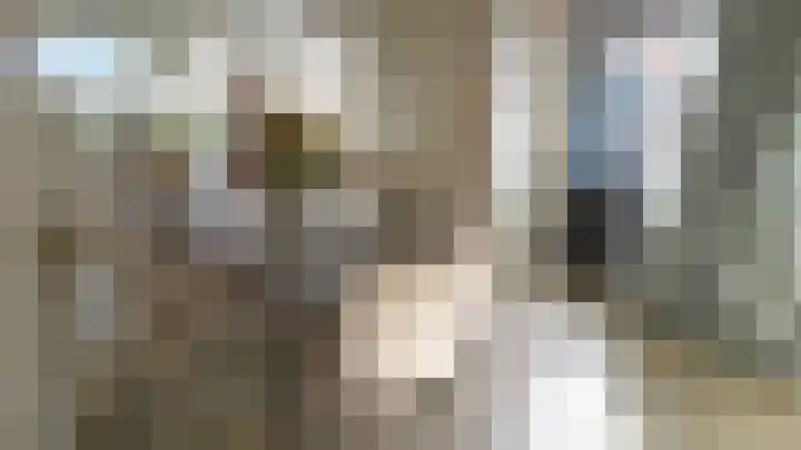 Zuideinde 5 Westzaan thumbnail 15