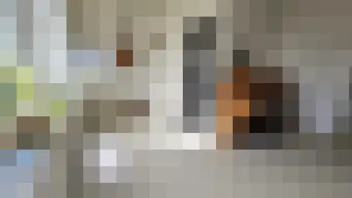 Zuideinde 5 Westzaan thumbnail 26