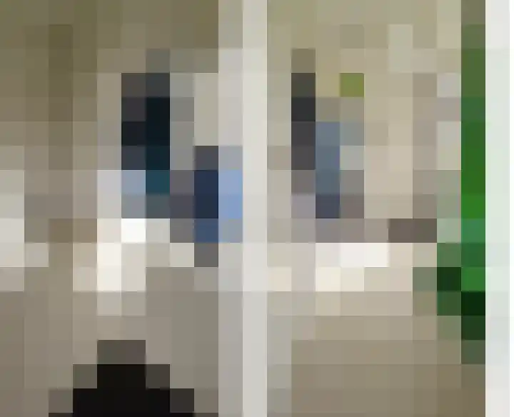 Zuideinde 5 Westzaan thumbnail 27