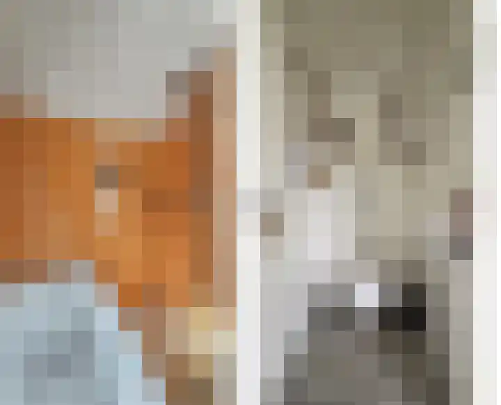 Zuideinde 5 Westzaan thumbnail 29