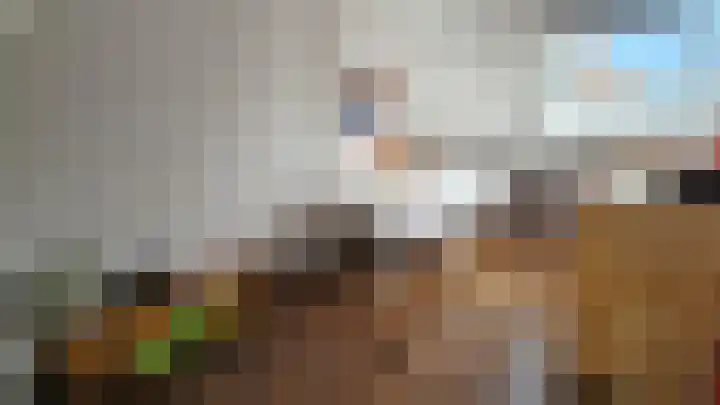 Zuideinde 5 Westzaan thumbnail 34